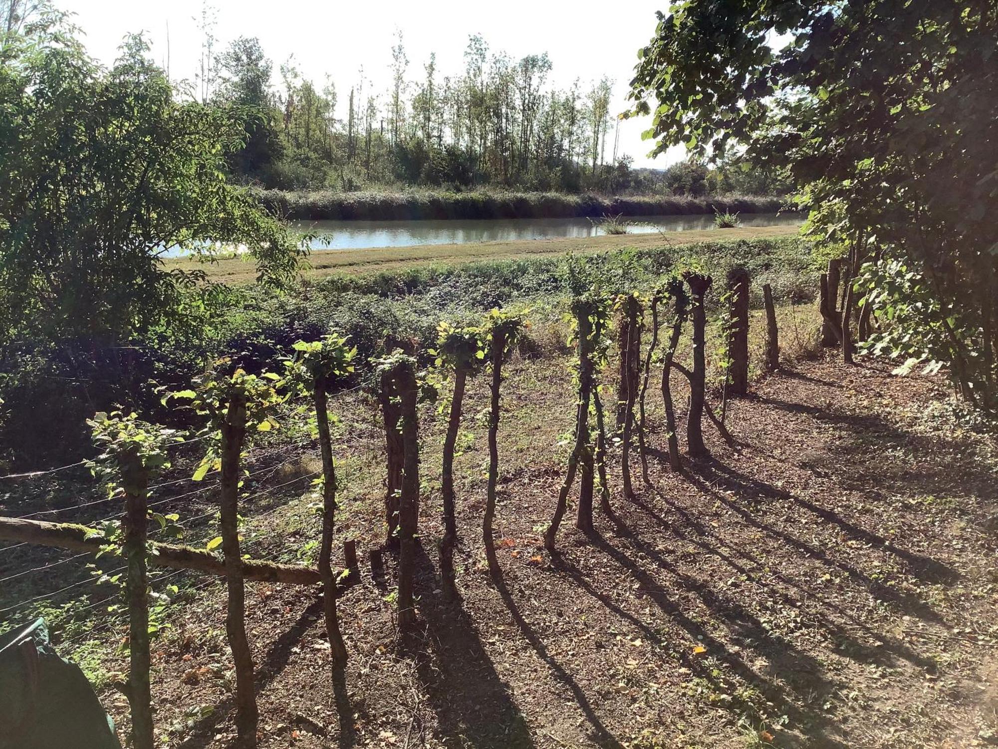 Autour Des Vignes B&B Herry Luaran gambar