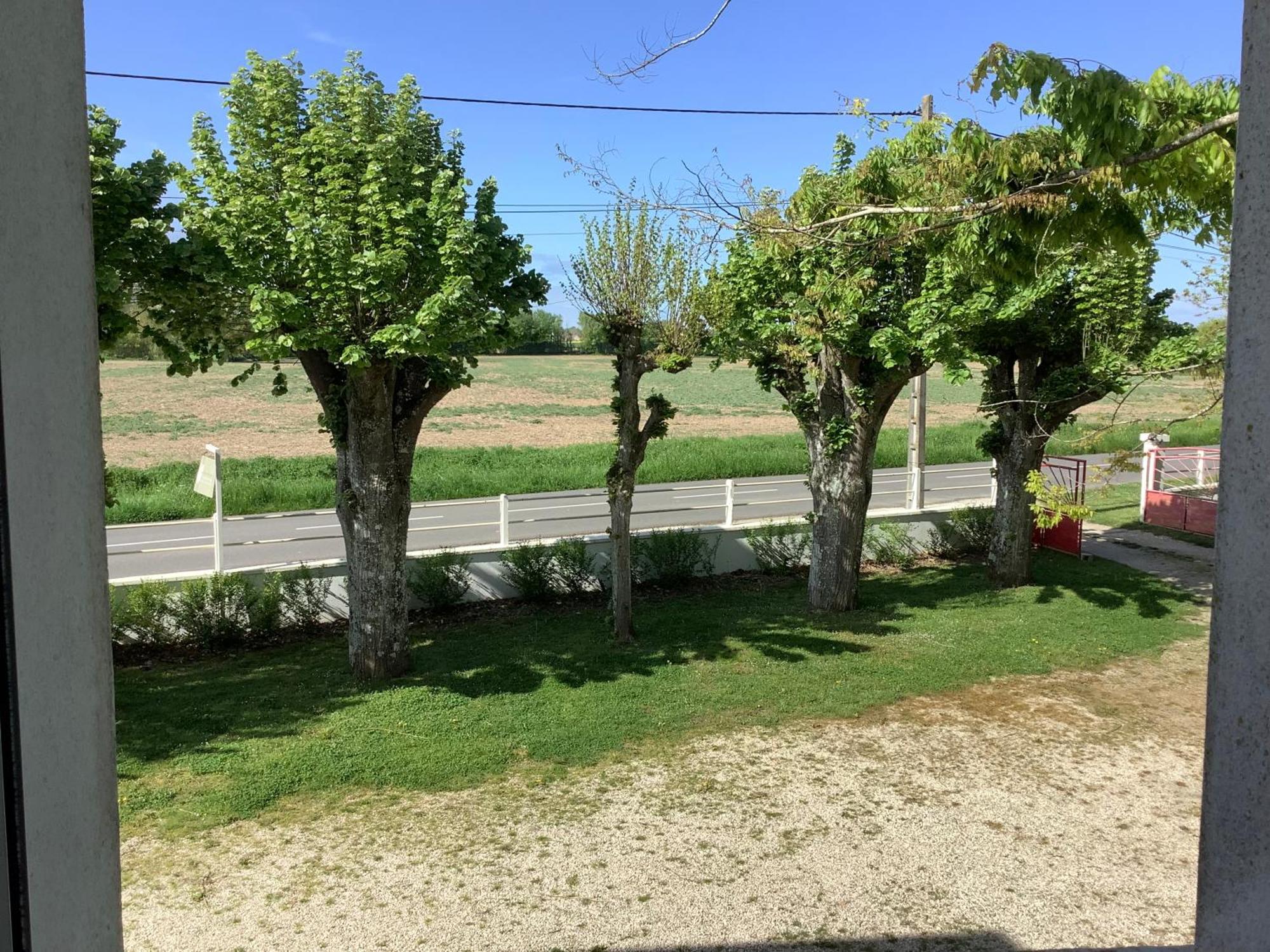 Autour Des Vignes B&B Herry Luaran gambar